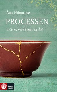 Processen : möten, mediciner, beslut; Åsa Nilsonne; 2017