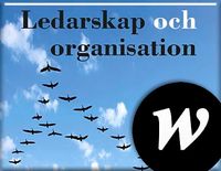 Ledarskap och organisation, lärarwebb Individlicens 12 mån; Lars Berglund, Thomas Sewerin; 2014