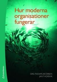 Hur moderna organisationer fungerar; Dag Ingvar Jacobsen, Jan Thorsvik; 2008