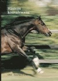 Hästens konvalescens; Gustaf Björck; 2004