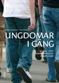Ungdomar i gäng : social- och straffrättsliga reaktioner; Ulrika Andersson, Titti Mattsson; 2011