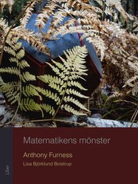Matematikens mönster; Anthony Furness, Lisa Björklund Boistrop; 2015