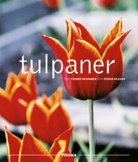 Tulpaner; Yvonne Nenander, Stefan Nilsson; 2001