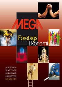 MEGA Företagsekonomi Faktabok; Sten Albertsson, Bengt-Arne Bengtsson, Lars Lindstrand, Olof Lundqvist; 2006