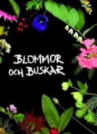 Blommor och buskar; Kenneth Lorentzon, Bengt Persson, Rolf Ginstmark, Barbara Johnson, Stefan Nilsson, Eric Wahlsteen, Ingrid Kristensson, Irene Bengtsson; 2008
