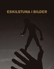 Eskilstuna i bilder; Martin Roos, Yvonne Eriksson, Anna Götzlinger; 2009