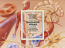 Anatomisk atlas; Michael Budowick, Gunnel Bjerneroth, Björn A. Svensson; 1993