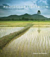 Photoshop lightroom : från vision till förädling av dina bilder; David duChemin; 2011