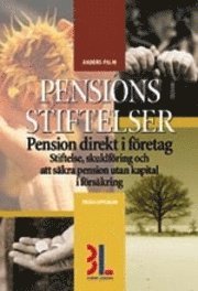 Pensionsstiftelser; Anders Palm; 2003
