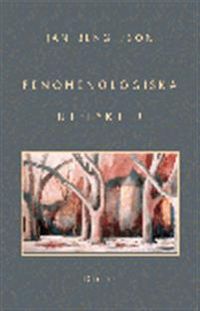 Fenomenologiska utflykter; Jan Bengtsson; 1998