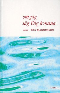 Om jag såg dig komma; Eva Magnusson; 2002