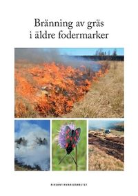 Bränning av gräs i äldre fodermarker; Hjalmar Croneborg, Fabian Mebus; 2017