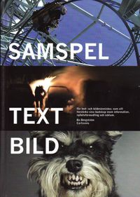Samspel text bild : för text- och bildmänniskor, som vill förstärka sina budskap inom information, nyhetsförmedling och reklam; Bo Bergström; 2010
