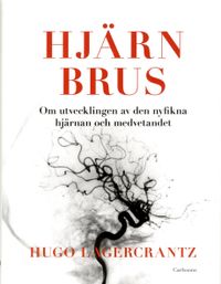 Hjärnbrus : om utvecklingen av den nyfikna hjärnan och medvetandet; Hugo Lagercrantz; 2013
