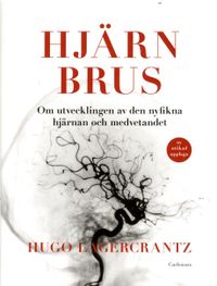Hjärnbrus : om utvecklingen av den nyfikna hjärnan och medvetandet; Hugo Lagercrantz; 2015