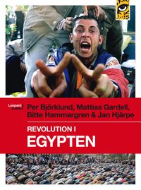 Revolution i Egypten; Per Björklund, Mattias Gardell, Bitte Hammargren, Jan Hjärpe; 2011