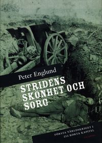 Stridens skönhet och sorg : första världskriget i 212 korta kapitel; Peter Englund; 2008