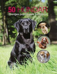 50 hundar : Sveriges populäraste hundraser; Jan Larsson; 2016