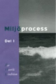 Miljöprocess, del I; Per Henrik Lindblom; 2001