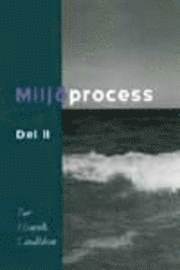 Miljöprocess, del II; Per Henrik Lindblom; 2002