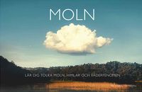 Moln; Niklas Johnsson; 2024