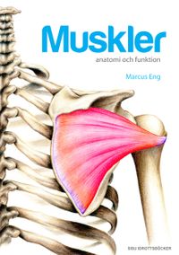 Muskler anatomi och funktion; Marcus Eng; 2012