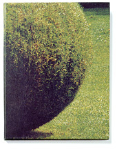 Form av gräs; Karin Berglund; 1997
