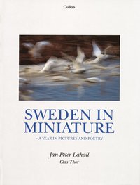 Sweden in miniature; Clas Thor, Jan-Peter Lahall; 1900