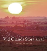 Vid Ölands Stora alvar; Anders Johansson; 2018