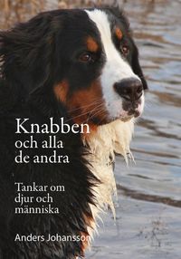 Knabben och alla de andra; Anders Johansson; 2019