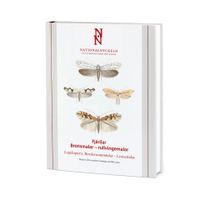 Fjärilar : bronsmalar - rullvingemalar. Lepidoptera : roesslerstammidae - lyoneti; Bengt Å. Bengtsson; 2011
