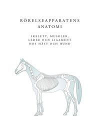 Rörelseapparatens anatomi : skelett, muskler, leder och ligament hos häst och hund; Anja Launila; 2017