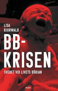 BB-krisen : sveket vid livets början; Lisa Bjurwald; 2019