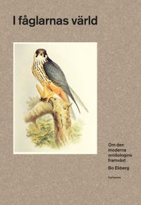 I fåglarnas värld : om den moderna ornitologins framväxt; Bo Ekberg; 2021