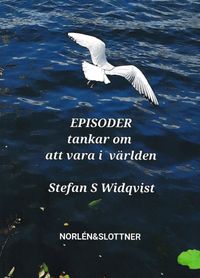 Episoder : tankar om att vara i världen; Stefan S Widqvist; 2023