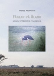 Fåglar på Öland : minnen, upplevelser, funderingar; Anders Johansson; 2008