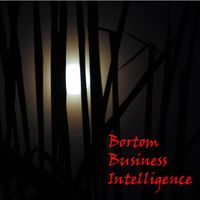 Bortom business intelligence; Kjell Borking, Mats Danielson, Love Ekenberg, Jim Idefeldt, Aron Larsson; 2010