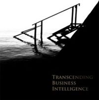 Transcending Business Intelligence; Kjell Borking, Mats Danielson, Guy Davies, Love Ekenberg; 2011