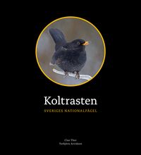 Koltrasten : Sveriges Nationalfågel; Clas Thor; 2021